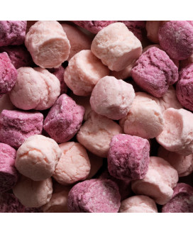 Pastiglie Leone Frutti di Bosco Lattina Biancaneve vendita |corso101