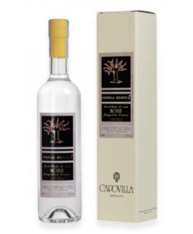 Capovilla - Distillato di Uva Noah - Fragolino Bianco - Astucciato - 50cl