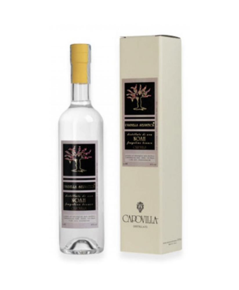 Capovilla - Distillato di Uva Noah - Fragolino Bianco - Astucciato - 50cl