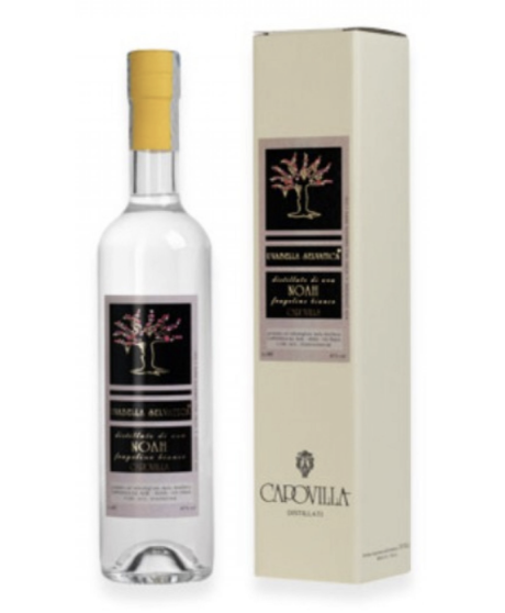 Capovilla - Distillato di Uva Noah - Fragolino Bianco - Astucciato - 50cl Capovilla - Distillato di Uva Noah - Fragolino Bianco - Astucciato - 50cl