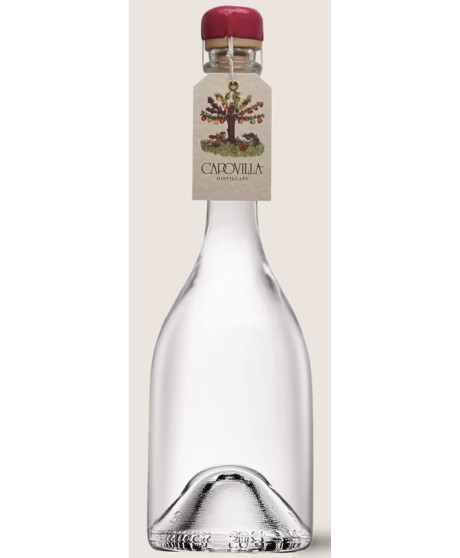 Capovilla - Distillato di Uva Moscato Rosa - Astucciato - 50cl Capovilla - Distillato di Uva Moscato Rosa - Astucciato - 50cl