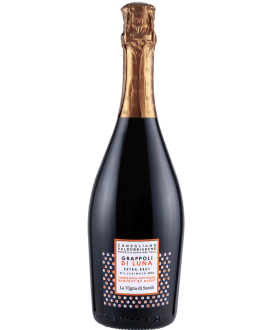 Vigna di Sarah Grappoli di Luna Prosecco extra brut | corso101.com