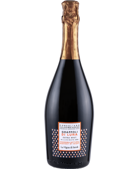 Vigna di Sarah Grappoli di Luna Prosecco extra brut | corso101.com