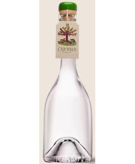 Capovilla - Distillato di Pere Moscatello Estivo - Astucciato - 50cl