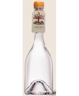 Capovilla - Distillato di Susine Mirabelle - Astucciato - 50cl