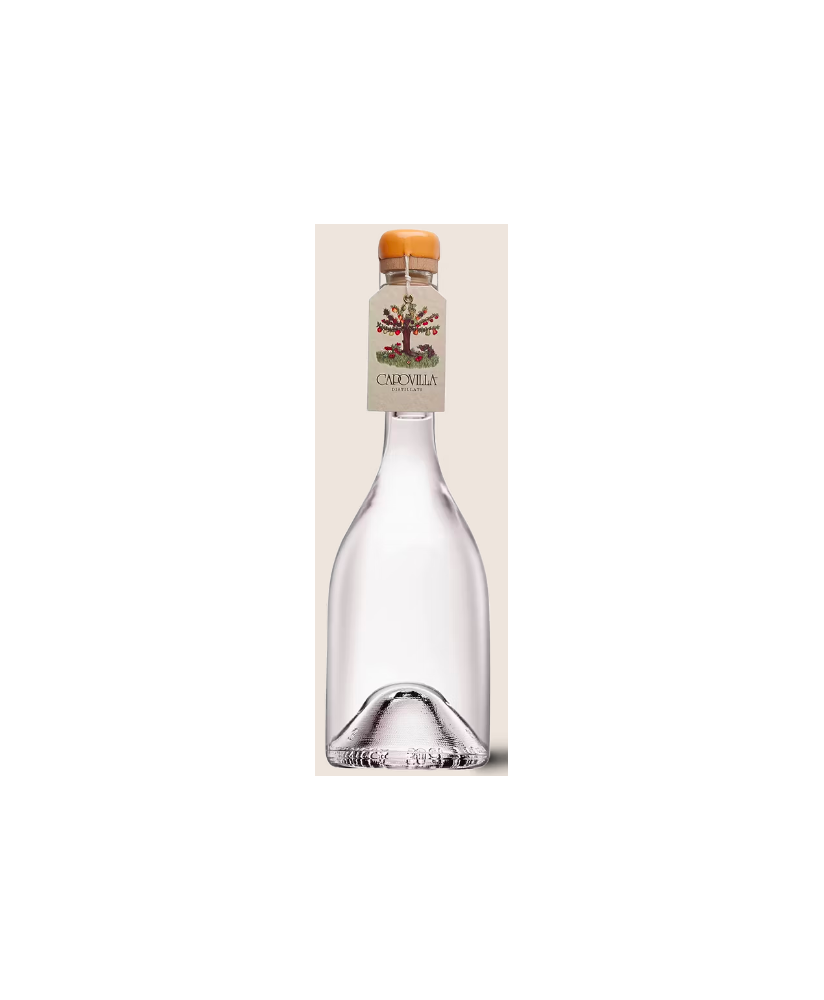 Capovilla - Distillato di Susine Mirabelle - Astucciato - 50cl