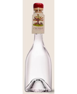 Capovilla - Distillato di Ciliegie Selvatiche - Astucciato - 50cl