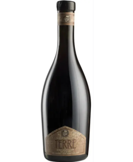 Birra Baladin Terre 2010 birra invecchiata in botti di vino | corso101
