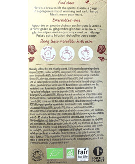 Shop online Pukka Herbs winter warmer in sachets price | corso101
