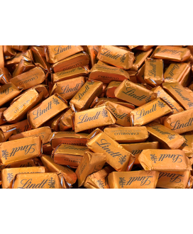 gianduiotto caramel Lindt news chocolates 2025