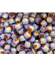 Lindt - Ripieno Liquido - Ginseng : Formato - 100 grammi