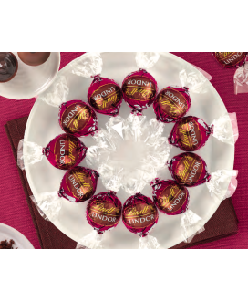 Lindor Doppio Cioccolato vendita online cioccolatini Lindt | corso101