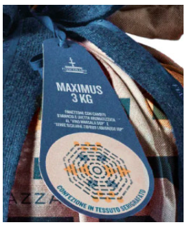 Panettone Fiasconaro Maximus 3kg shop online christmas cake | corso101