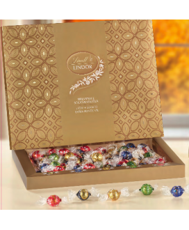 Scatole di cioccolatini Lindt vendita online gli assortiti prezzo scontato | corso101.com