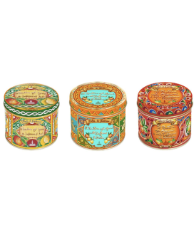 Fiasconaro panettone mignon Dolce & Gabbana agrumi online | corso101