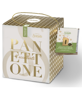 Panettone handmade Scarpato chocolat pistachio cream online | corso101