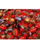 Lindt - Roulette - Noccionoir : Formato - 100 grammi