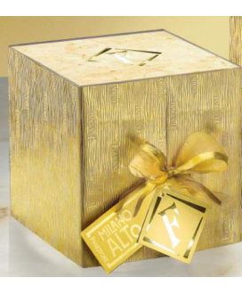 Panettone Flamigni 5kg online panettoni grandi formati | corso101