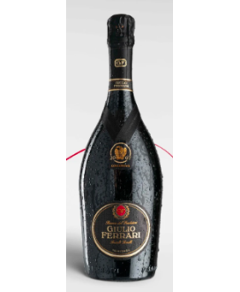 Ferrari - Giulio Ferrari Collezione 2007 - Trento DOC - 75cl| corso101