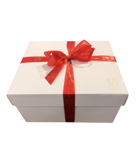 Vendita online confezioni Natale 2014 scatole con panettone artigianale Albertengo, Torrone, cioccolatini e prosecco o franciaco