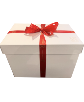 Vendita online confezioni Natale 2014 scatole con panettone artigianale Albertengo, Torrone, cioccolatini e prosecco o franciaco
