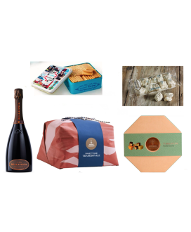 Vendita online confezioni Natale 2014 scatole con panettone artigianale Fiasconaro, Franciacorta Bellavista, Torrone Scaldaferro