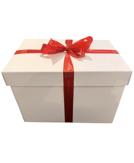 Vendita online confezioni Natale 2014 scatole con panettone artigianale Fiasconaro, Pandoro Filippi, Franciacorta, Torrone Scald