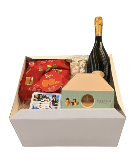 Vendita online confezioni Natale 2014 scatole con panettone artigianale Filippi, Torrone, cioccolatini e prosecco o franciacorta
