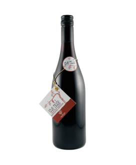 Cantina Forlì-Predappio - Uve Nude 2024 - Senza Solfiti Aggiunti - Sangiovese Rubicone IGP - 75cl