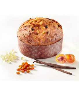 Sal de riso panettone passione napoletana vendita online | corso101