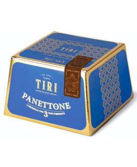 Apricot and chocolate Panettone handmade Tiri shop online | corso101