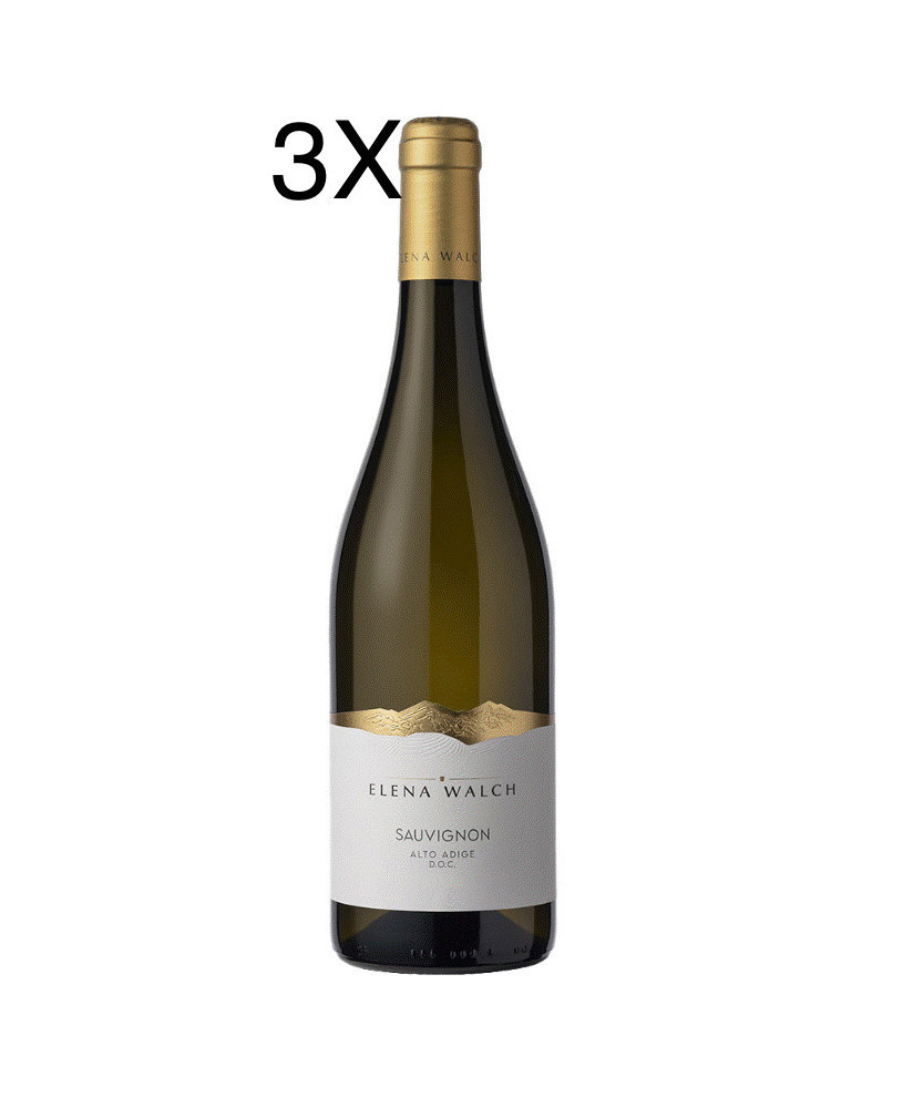 Vendita online vini Elena Walch, Sauvignon Alto Adige DOC. Miglior prezzo online Sauvignon Elena Walch trentino