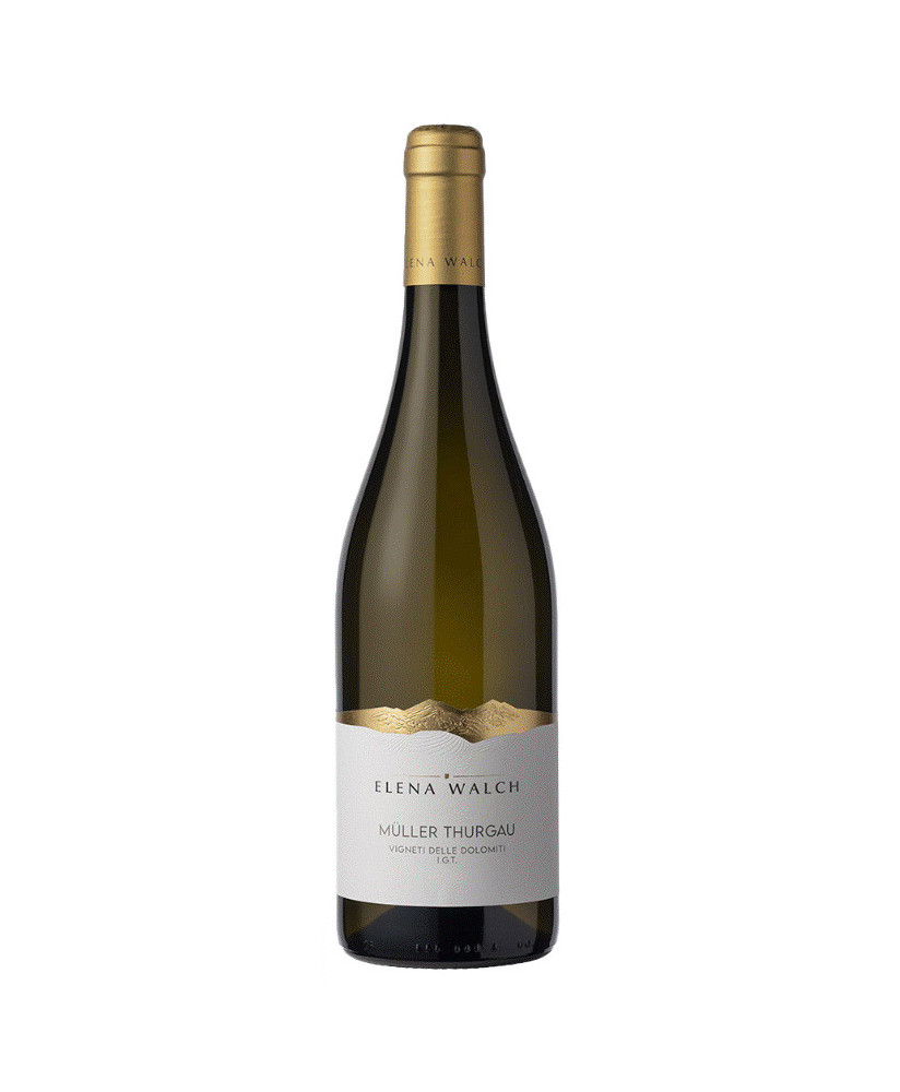 Elena Walch white wines Muller Thurgau shop online | Corso101.com