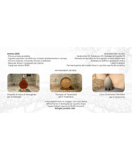 Maria Pia Castelli - Amima 2023 - Marche Bianco IGT - Astucciato - 75cl