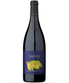 Elena Walch - Pinot Nero Ludwig 2022 - Alto Adige DOC - 75cl