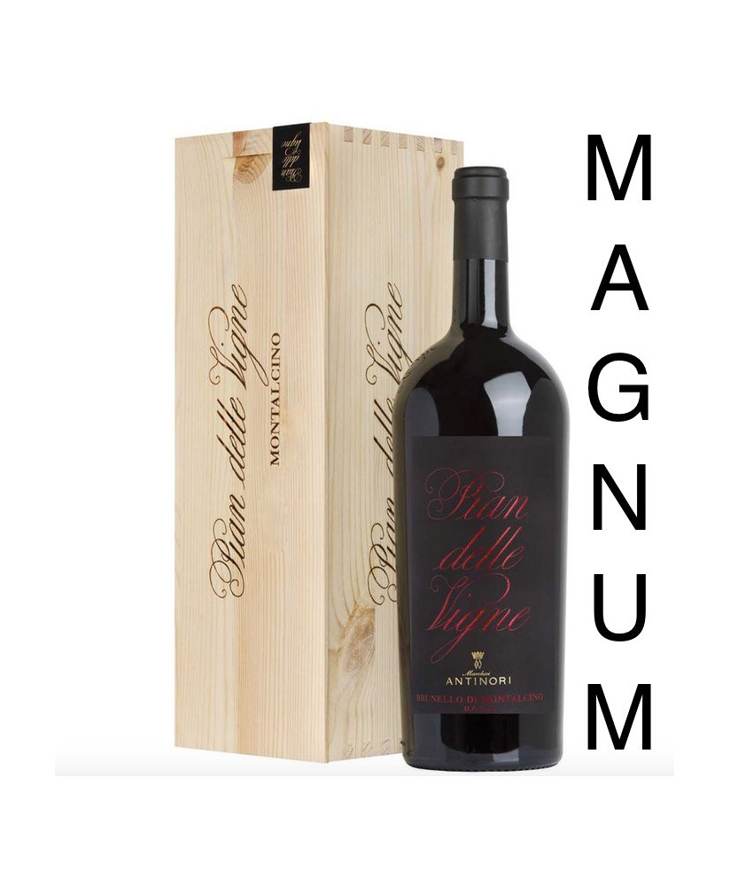 Vendita online Brunello di Montalcino Pian delle Vigne Antinori. Shop on-line al miglior prezzo vini toscani di qualità