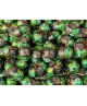 Venchi - Ovetto Cremino al Pistacchio : Formato - 500 grammi