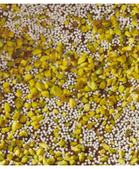 Leone - Uovo Cri Cri Fondente 70% e Pistacchio - LATTA - 350g