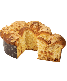 Perbellini Fior d'Albicocca soffice impasto vendita online | corso101