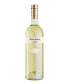 Gianni Gagliardo - Fallegro 2024 - Favorita Langhe DOC - 75cl