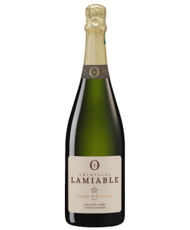 Lamiable Champagne - Terre D'Etoiles - Brut Grand Cru - Champagne - 75cl