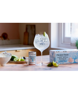 Fever-Tree Refreshingly Light Tonic Water Can | Premium Tonic Water