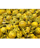 Lindt - Roulettes - Limoncello - 100g NOVITA'