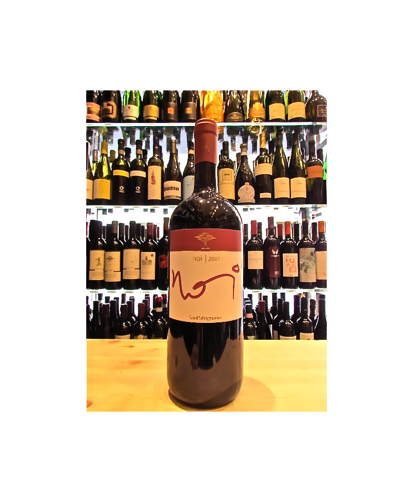 vendita online vini rossi romagna comunità san patrignano MAGNUM 1,5 LITRI BOTTIGLIA GRANDE BOTTIGLIE GRANDI noi colli di rimini