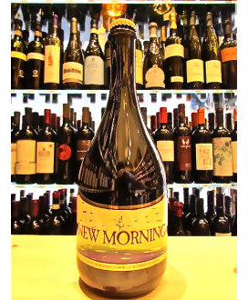 vendita online birra artigianale italiana shop birre artigianali italiane birrificio del ducato parma roncole verdi di busseto c