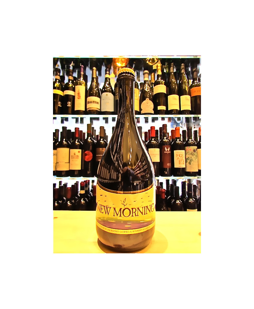 vendita online birra artigianale italiana shop birre artigianali italiane birrificio del ducato parma roncole verdi di busseto c
