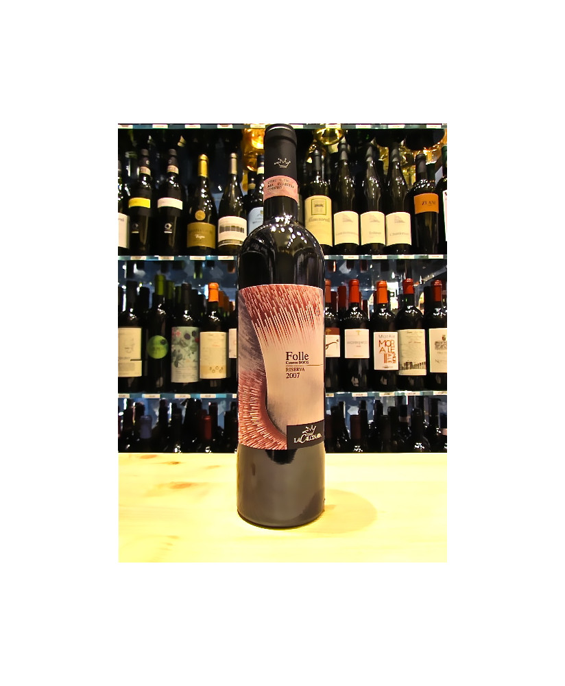 Online Sale OUR SELECTION OF MARCHE RED WINES Vulpitta Corso 101