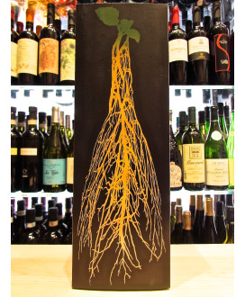 Vendita online Franciacorta Bellavista Millesimato Gran Cuvée Brut DOCG Astucciato. Miglior prezzo on line spumanti e vini itali
