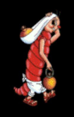 GUSANO ROJO
