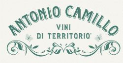 ANTONIO CAMILLO